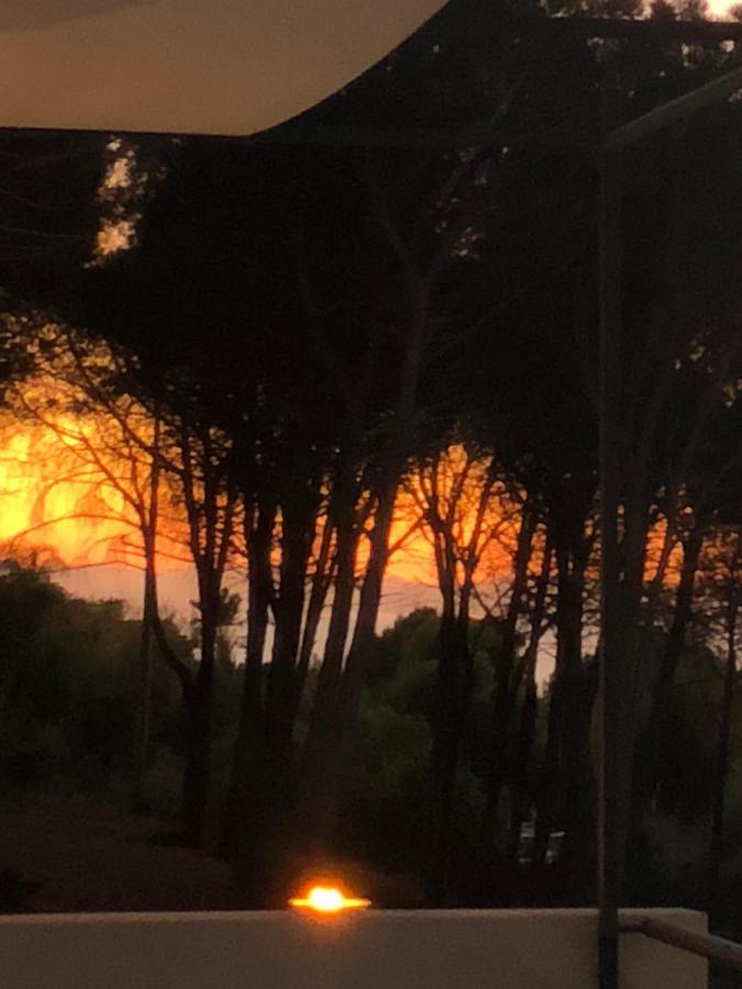 Apartmán Ilenia Seaview Cefalù Exteriér fotografie